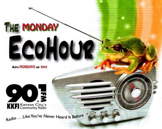 Stan’s Amazing Trip to Prince Charles” Festival – Interview